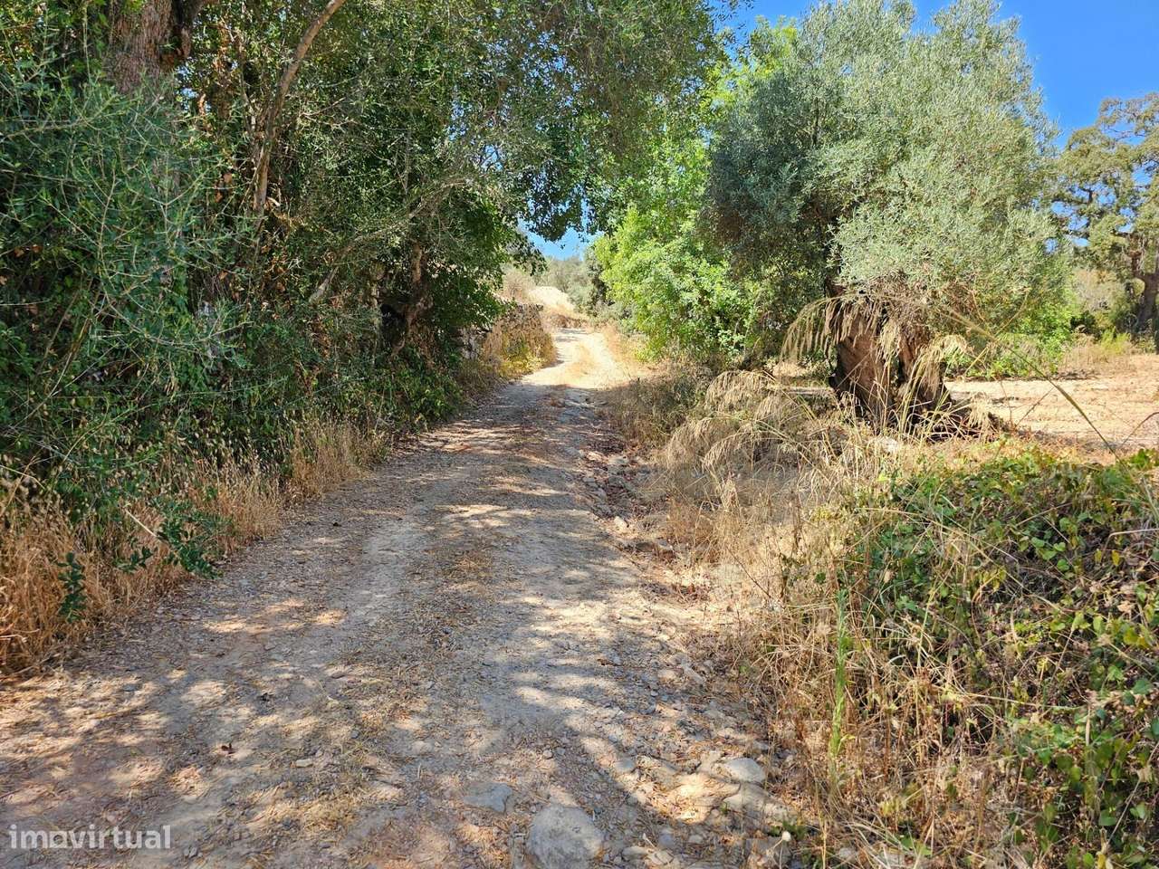 Terreno Rústico| São Sebastião| Loulé - Grande imagem: 5/21