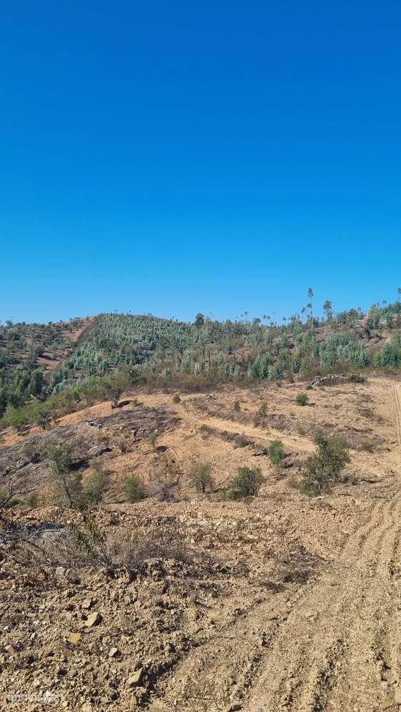 Terreno de 11H - Santana da Serra - Disponível - Grande imagem: 5/9