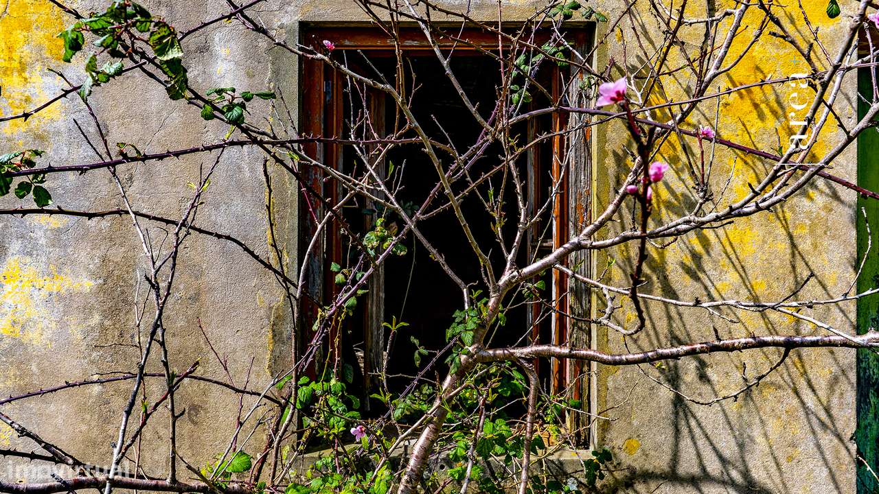 Imóvel Exclusivo | Casinha e Terreno do Ervedal - Grande imagem: 5/20