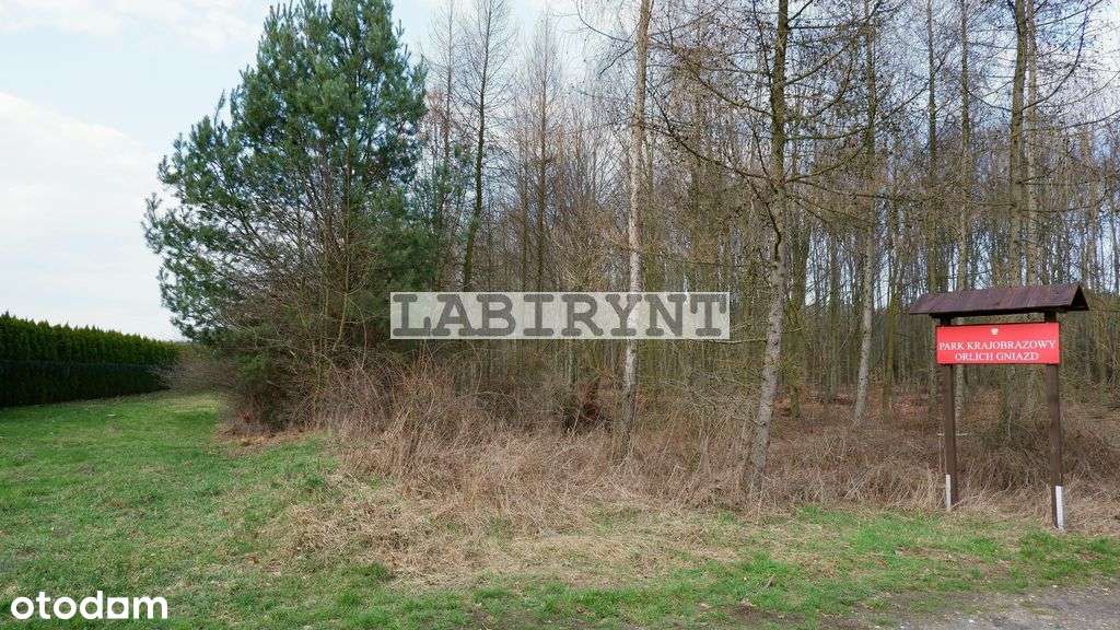 Mirów, Mączna, szerokość 20m, 2620m2, media-14