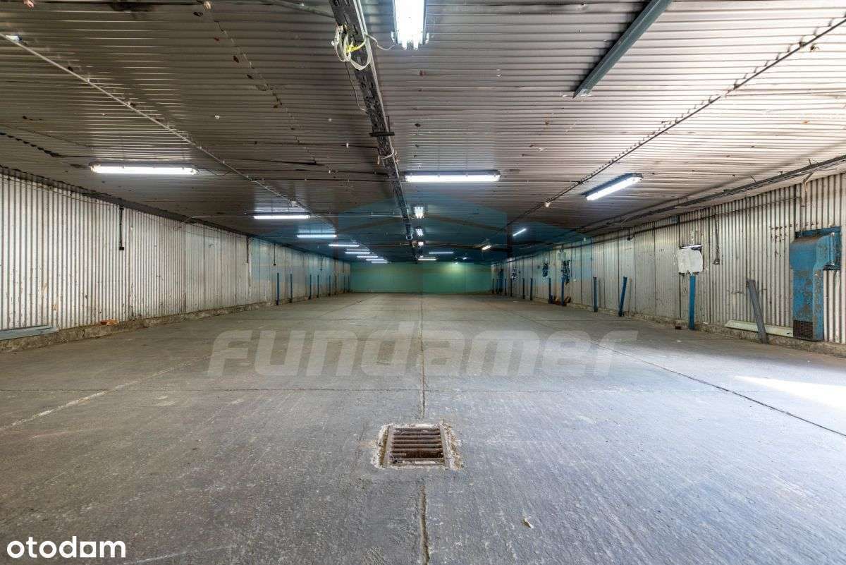 Magazyn 290mkw i 360mkw Łazy Ochrona 24h, socjal - Pełny obrazek: 5/5