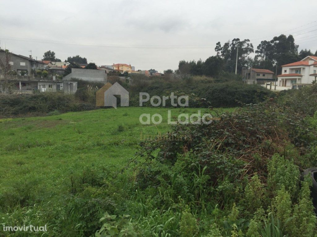 Terreno Rústico Nogueira da Regedoura - Santa Maria da Feira