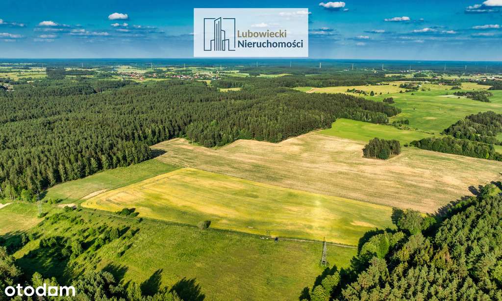 Kompleks działek w Dębówku - Pełny obrazek: 5/13