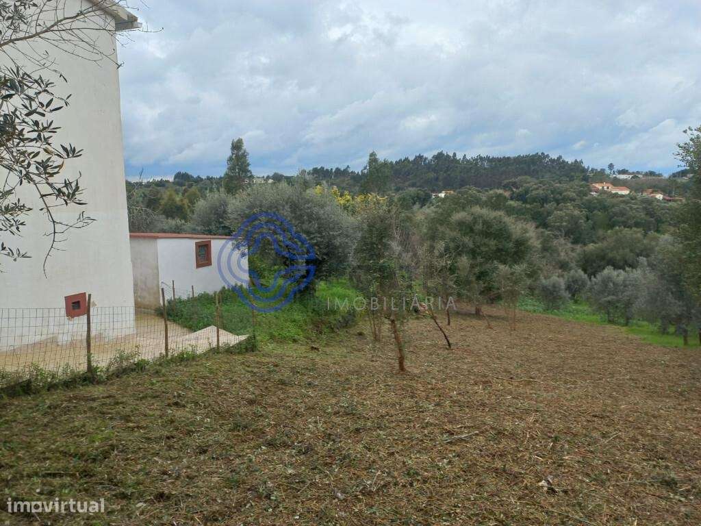 Terreno com possibilidade de construção com 600 m2 a 15 minutos de Tom - Grande imagem: 3/21