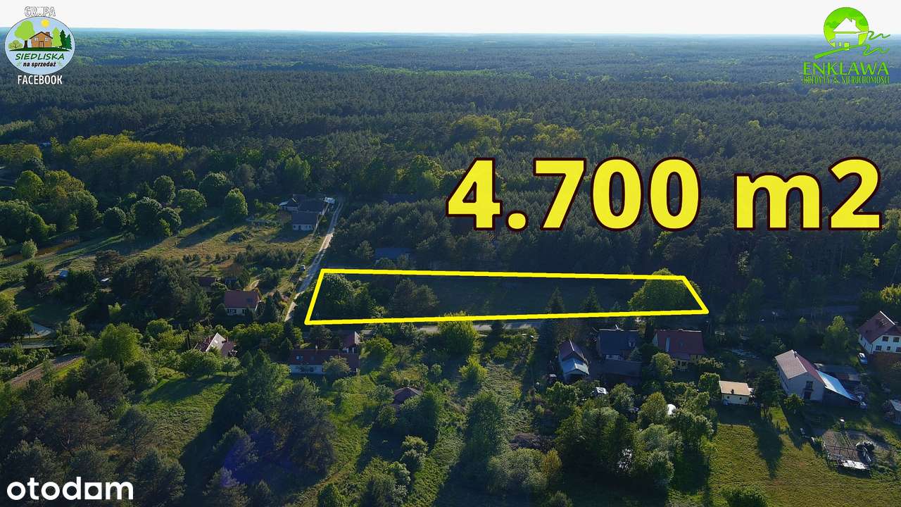 ENKLAWA prezentuje: działka w CUDNEJ okolicy! 4 x JEZIORO + LASY!-17