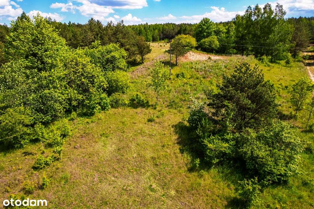 Działki budowlane w otoczeniu drzew  z dostępem do jez. Buwełno-19