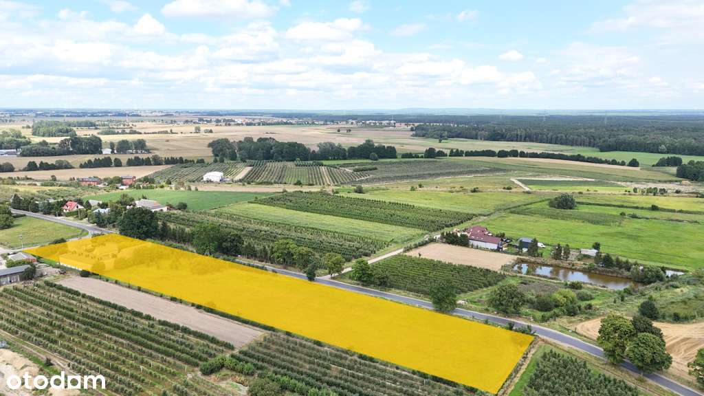 Na sprzedaż siedlisko, Komorzewo k. Czarnkowa, - Pełny obrazek: 4/11