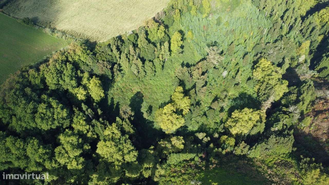 Terreno Rústico em Lomba da Maia-6