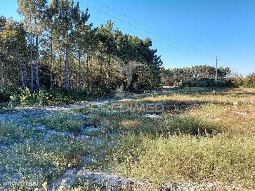 Terreno rustico 14280m2 na região de Aljezur Algarve - Grande imagem: 3/9