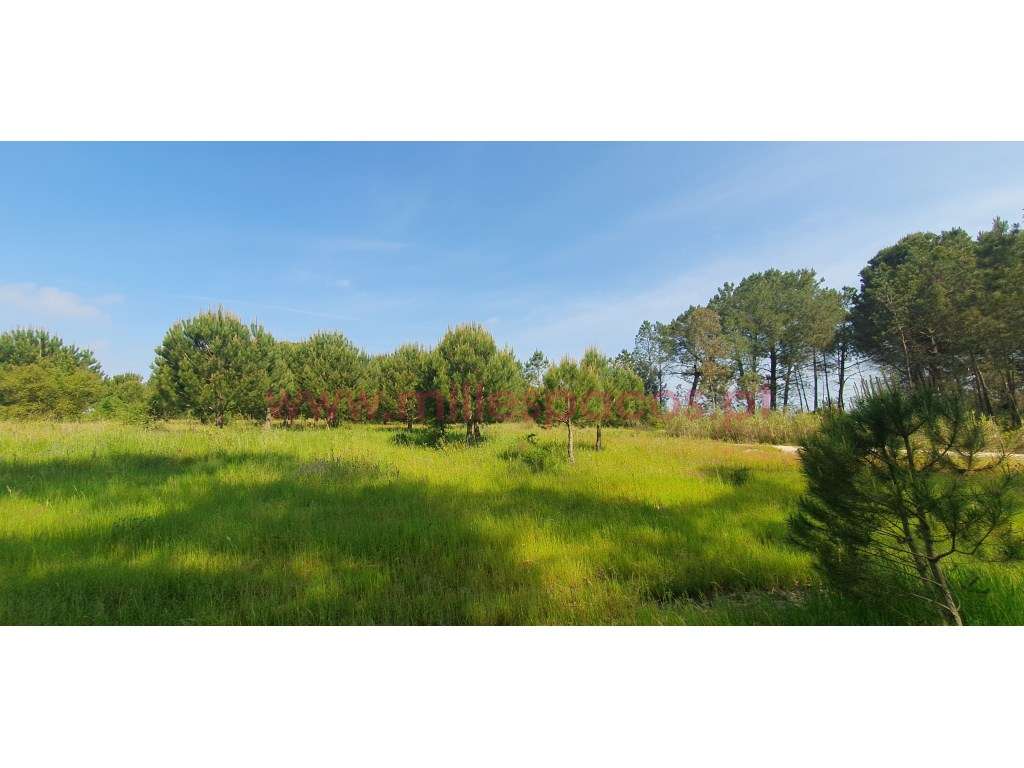 Terreno Gaveto com Estrada Nacional - Grande imagem: 5/31