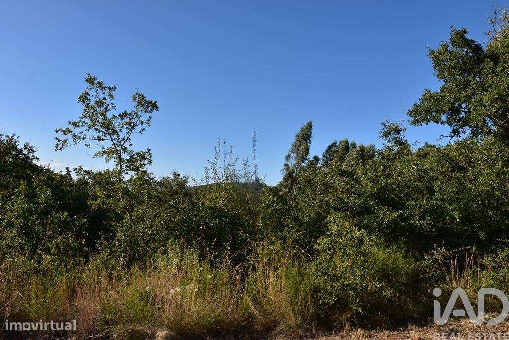 Terreno em Chãos de 2240,00 m2 - Grande imagem: 4/17