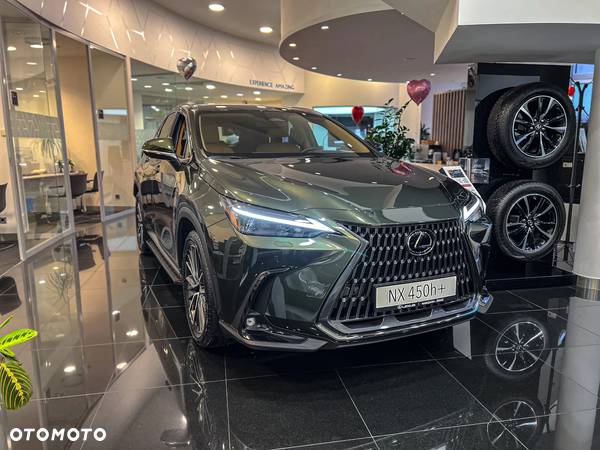 Lexus NX - 6