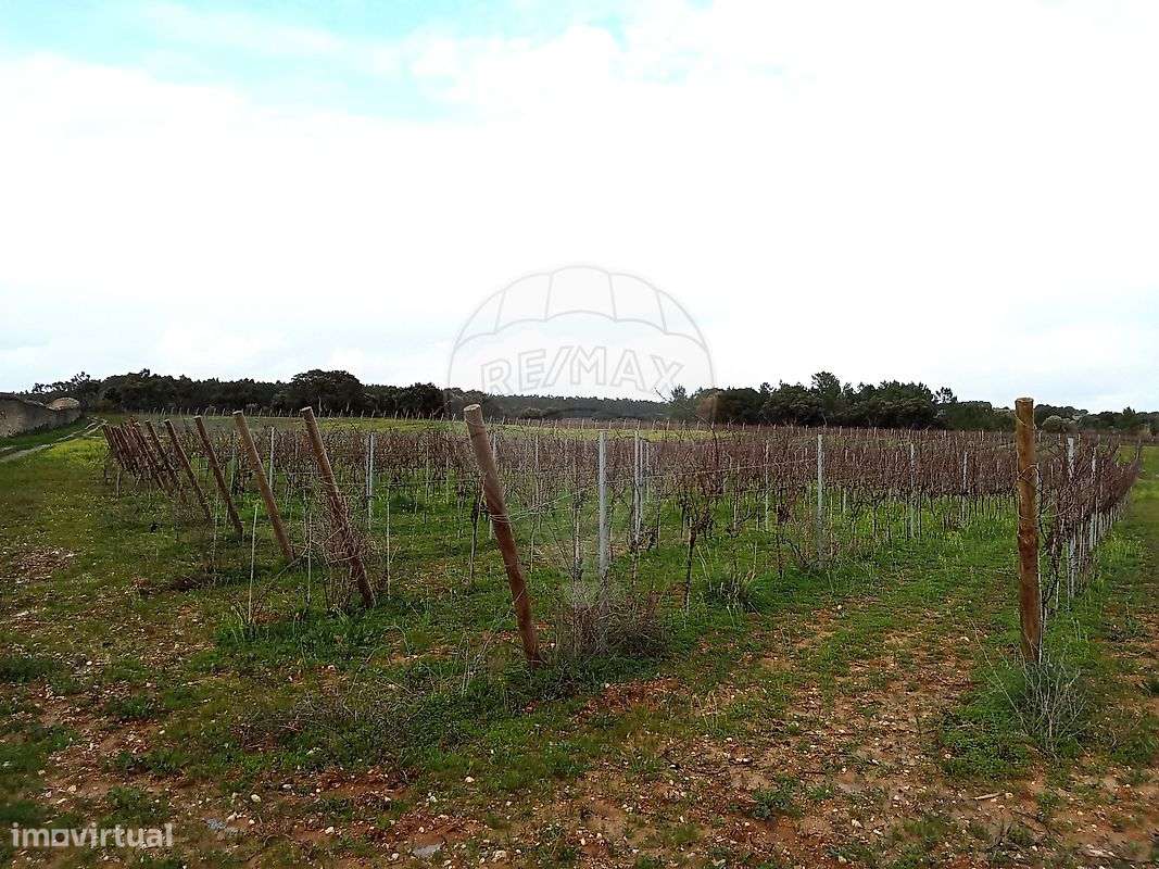 Terreno  para venda - Grande imagem: 2/23