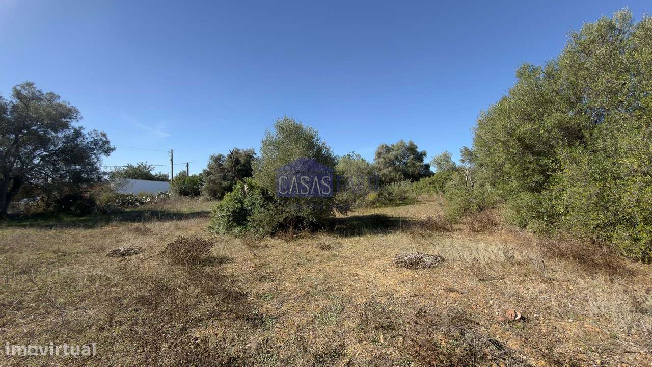 Terreno Rústico plano a 10min de Olhão. Oportunidade-6