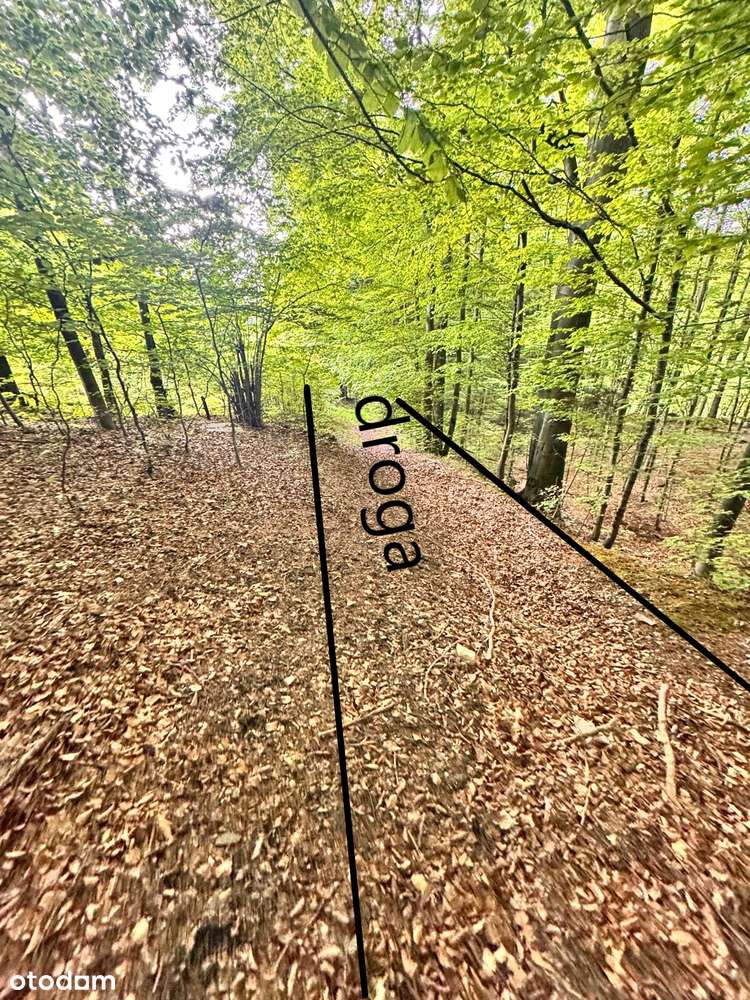 Porąbka 85ar z pozwol. na budynek roln/rekr Z DALA OD ZGIEŁKU ZAMIANA-4