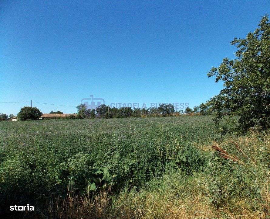 TUZLA - Teren intravilan 1000 mp, langa lacul Techirghiol!-8