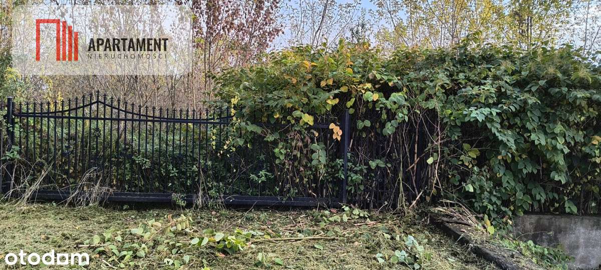 Działka budowlano-usługowa 2430 m² Malbork Kałdowo - Pełny obrazek: 4/4