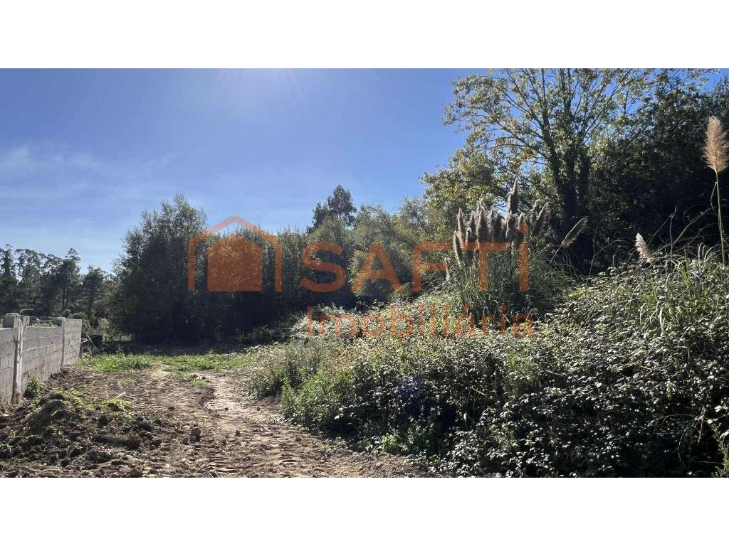 Terreno - 2.800 m² - Perosinho - Vila Nova de Gaia - Grande imagem: 5/12