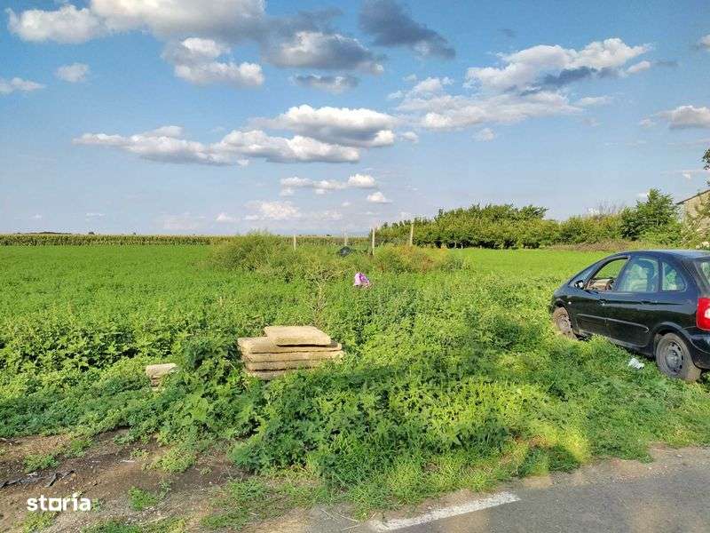 Vand teren intravilan in comuna Simand judetul Arad. - Imagine principală: 5/5