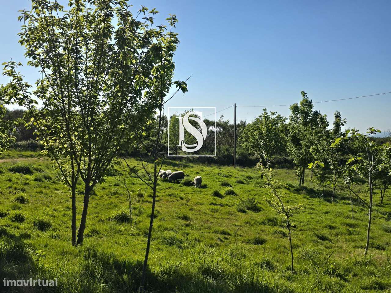 MORADIA T1 RENOVADA COM 10.000 m² – BUSTELO, AMARANTE-29