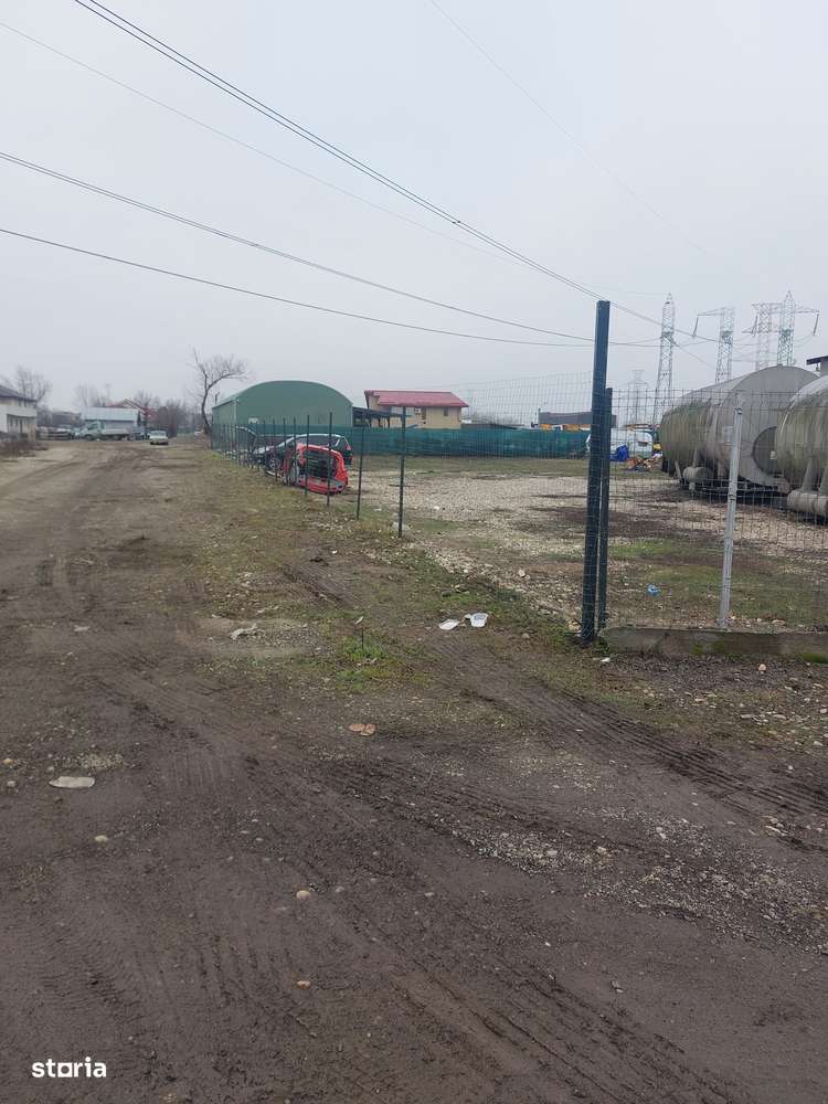 Clinceni - Olteni, Strada Fortului, Stradal-3