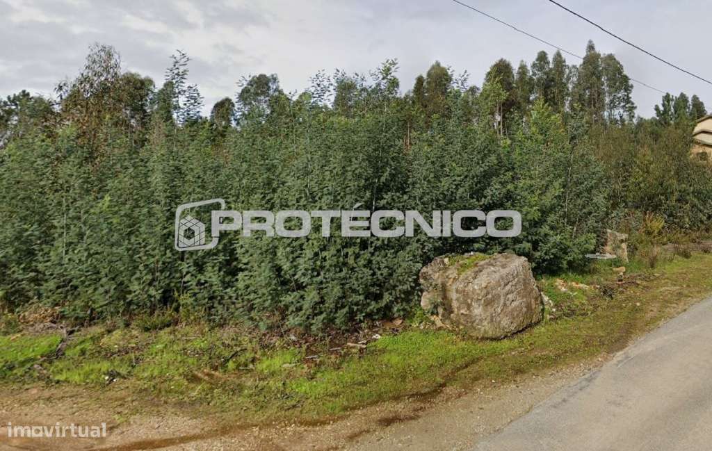 Terreno c/ 4.000m2 em Águeda – Para promotores - Grande imagem: 4/5