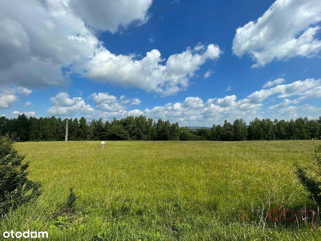 NOWA CENA! | 86 m2 | 4 pokoje | ogród lub 2 tarasy-15