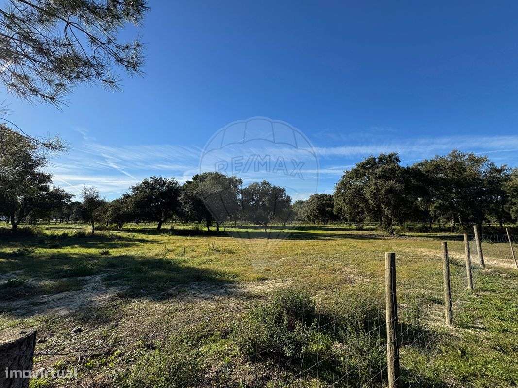 Terreno  para venda - Grande imagem: 4/8