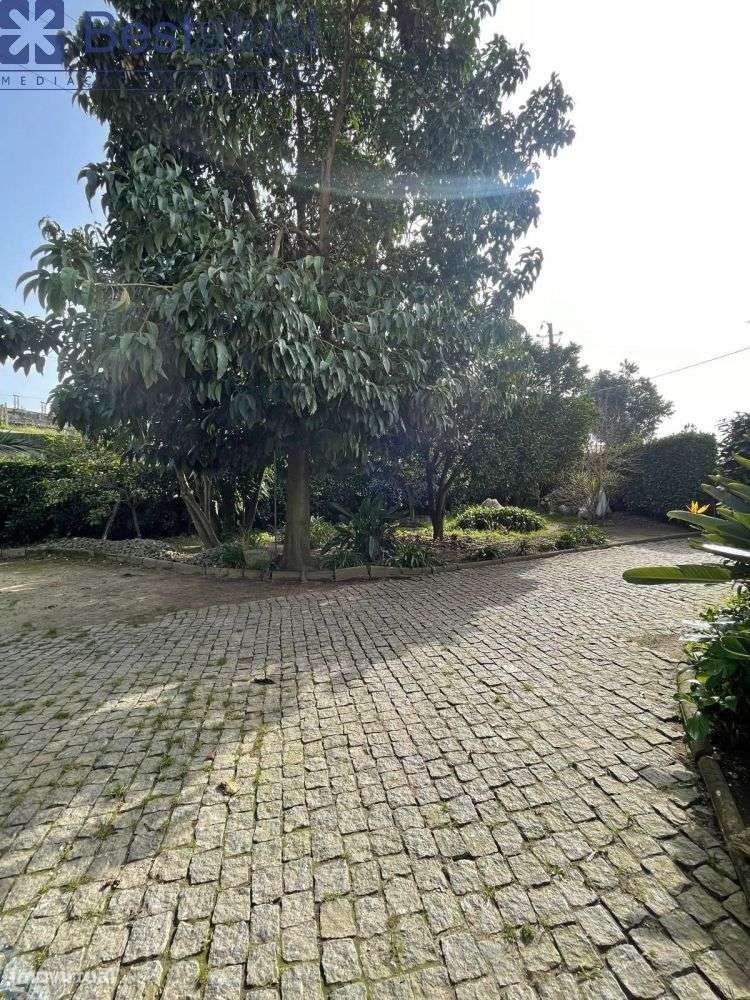 Moradia T4 Isolada - 5 min. Centro Sto. Tirso-24