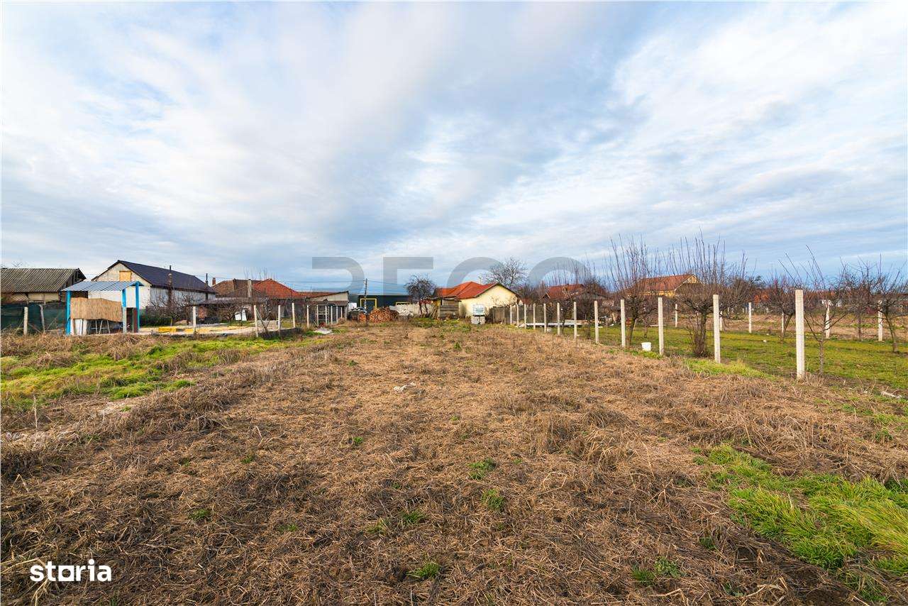 Teren intravilan cu toate utilitatile in Bors - Imagine principală: 5/14
