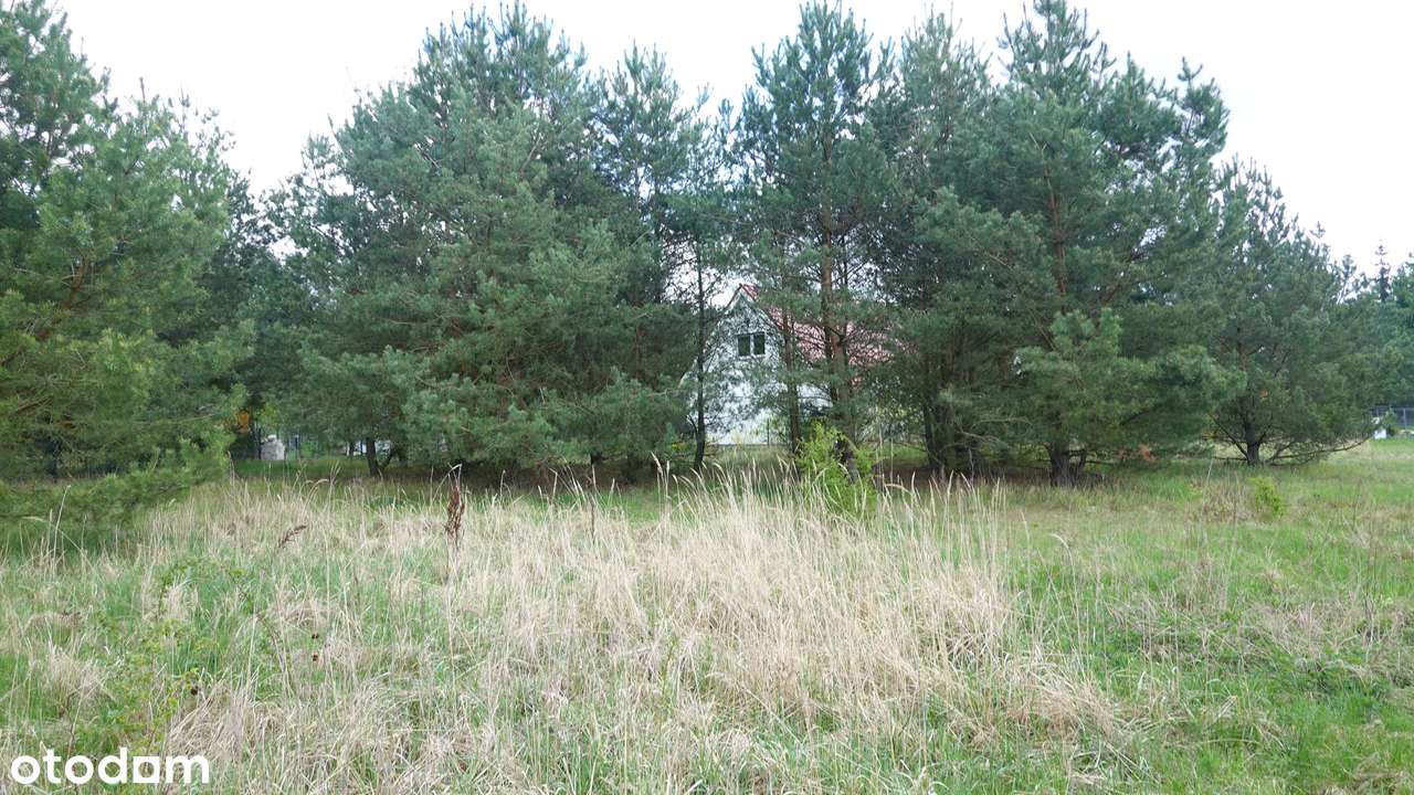 Wylatkowo działka - Pełny obrazek: 4/8