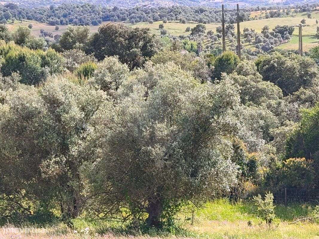 Terreno  para venda - Grande imagem: 5/5