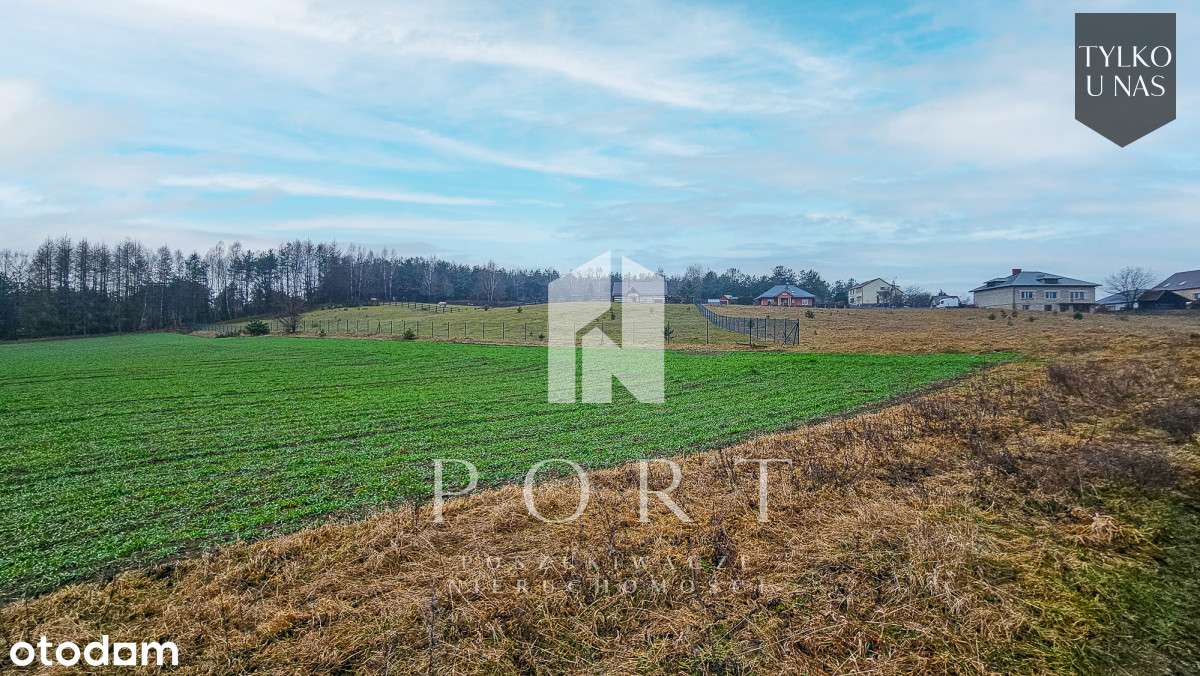 Działka z warunkami zabudowy, Węsiory! - Pełny obrazek: 4/7