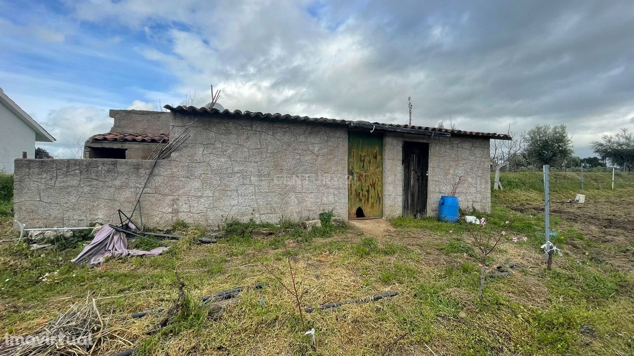 Terreno Rústico, Ladoeiro, Castelo Branco