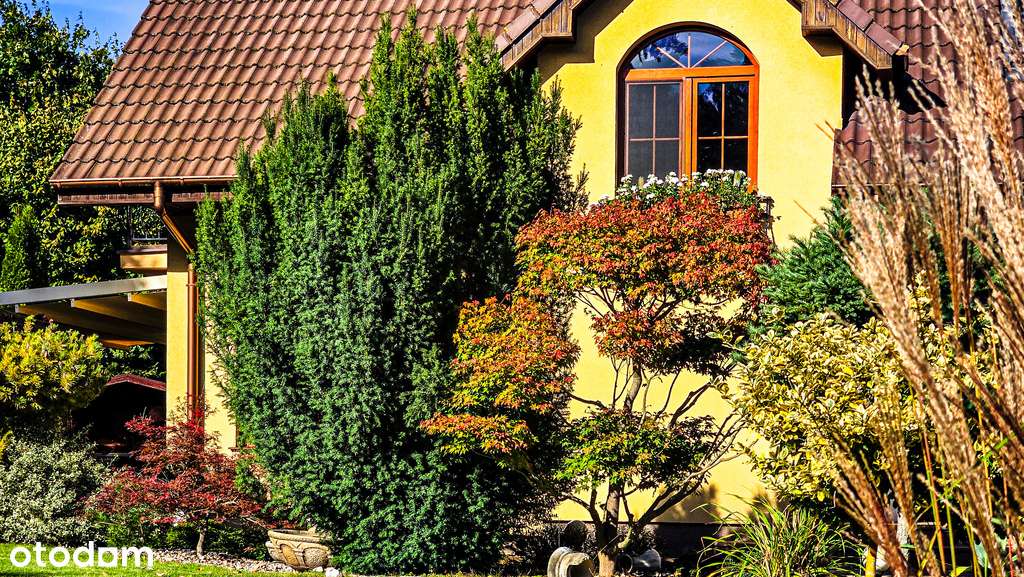 Nowoczesny dom 157 m², Dolaszewo, działka 1441 m²-18