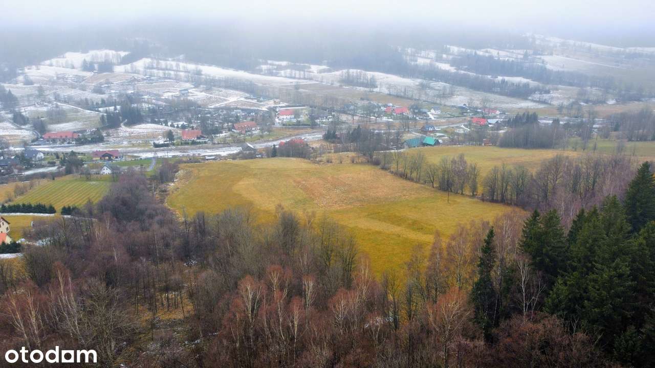 REZERWACJA! 5,5 ha z działką budowlaną – świetne pod domki - Pełny obrazek: 4/6