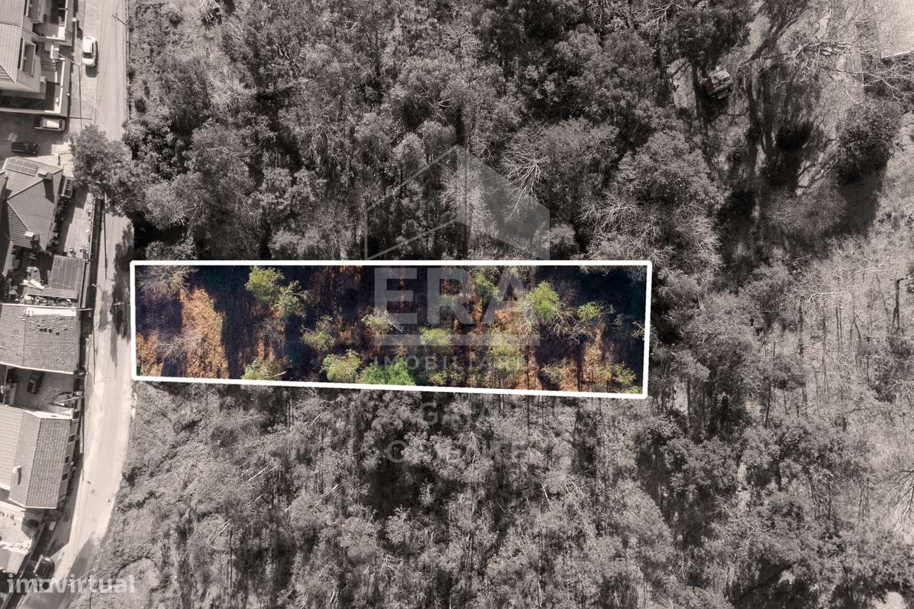 Terreno 1500 m² em Sanguedo-0