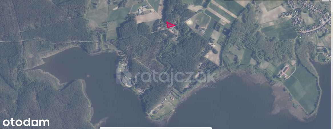 Działka w Borach Tucholskich - Pełny obrazek: 5/6