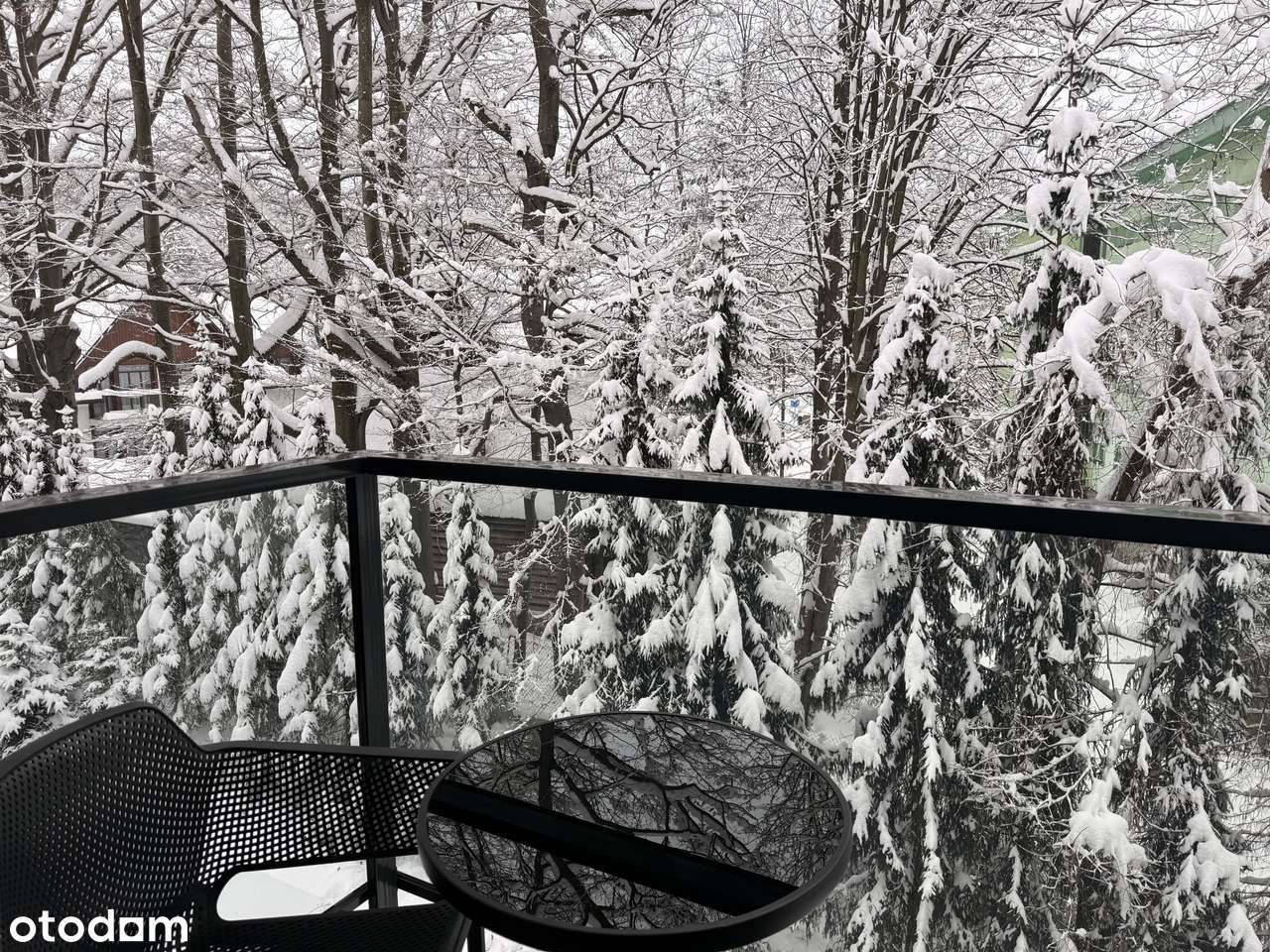 EKSKLUZYWNY APARTAMENT W NOSALOWYM PARKU HOTEL & SPA-2