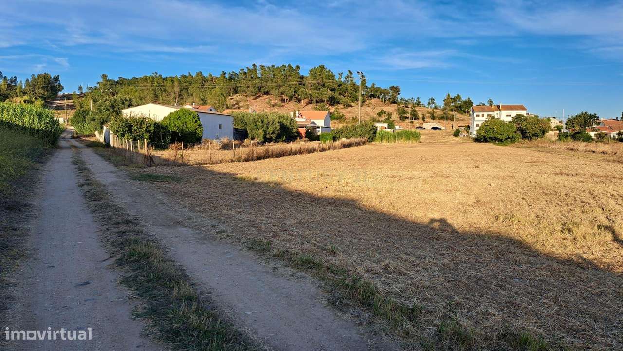 Terreno  Rústico em Riachos, Torres Novas - 4975m² - Grande imagem: 4/6