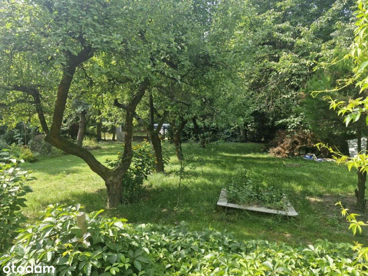 Działka, 704 m², Łagiewniki Nowe - Pełny obrazek: 4/14