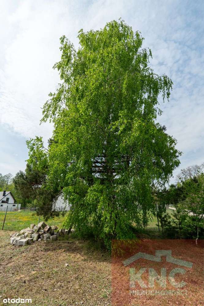 Sprzedam działkę 1654 m² – ogrodzona, media - Pełny obrazek: 3/6