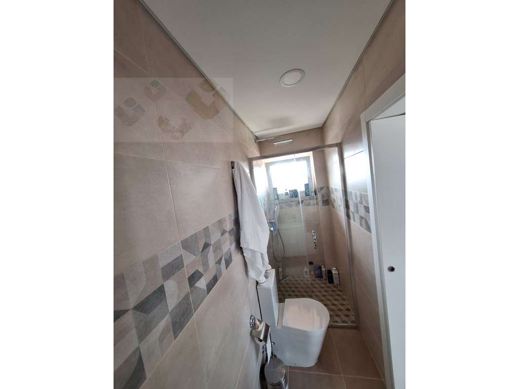 T4 Transformado em T3 - Completamente Recuperado-33