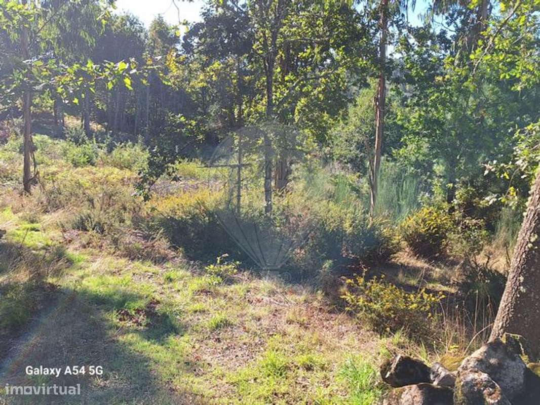 Terreno  para venda - Grande imagem: 4/10