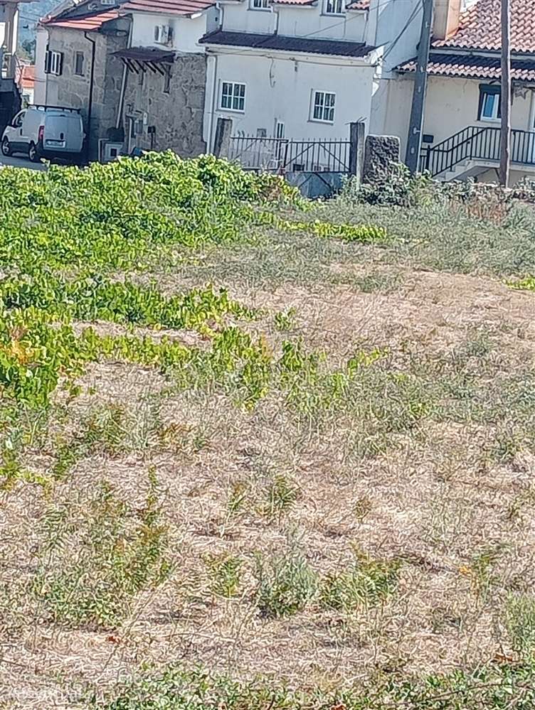 Terreno Para Construção  Venda em Fragosela,Viseu - Grande imagem: 3/4