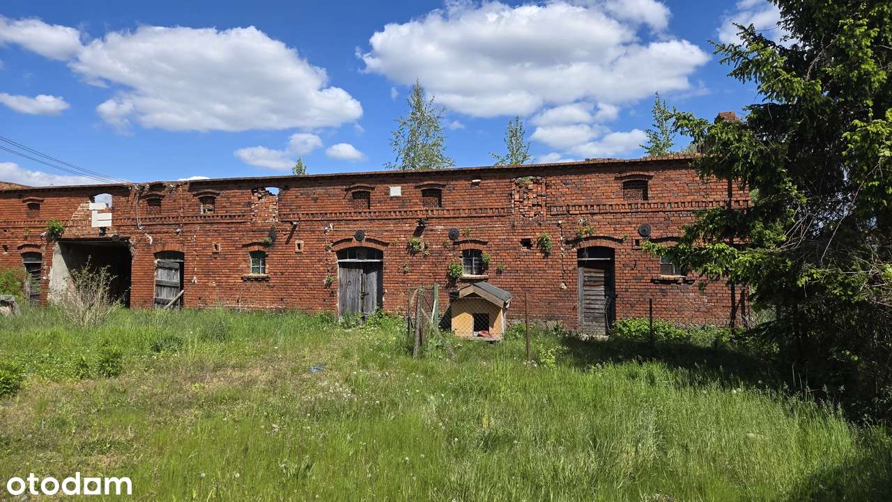 Po niemiecka stodola do sprzedazy. - Pełny obrazek: 4/5