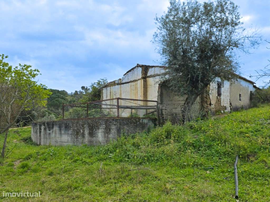 QUINTA COM 5HA DE TERRENO COM 500M2 URBANO - GALVEIAS - PONTE DE SOR-20