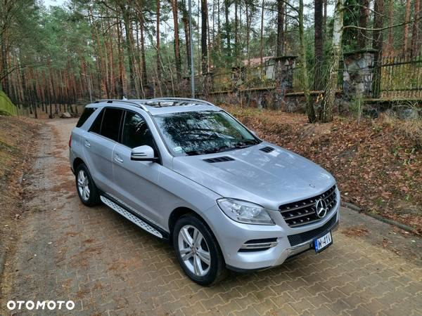 Mercedes-Benz ML 350 BlueEff 4-Matic - 7