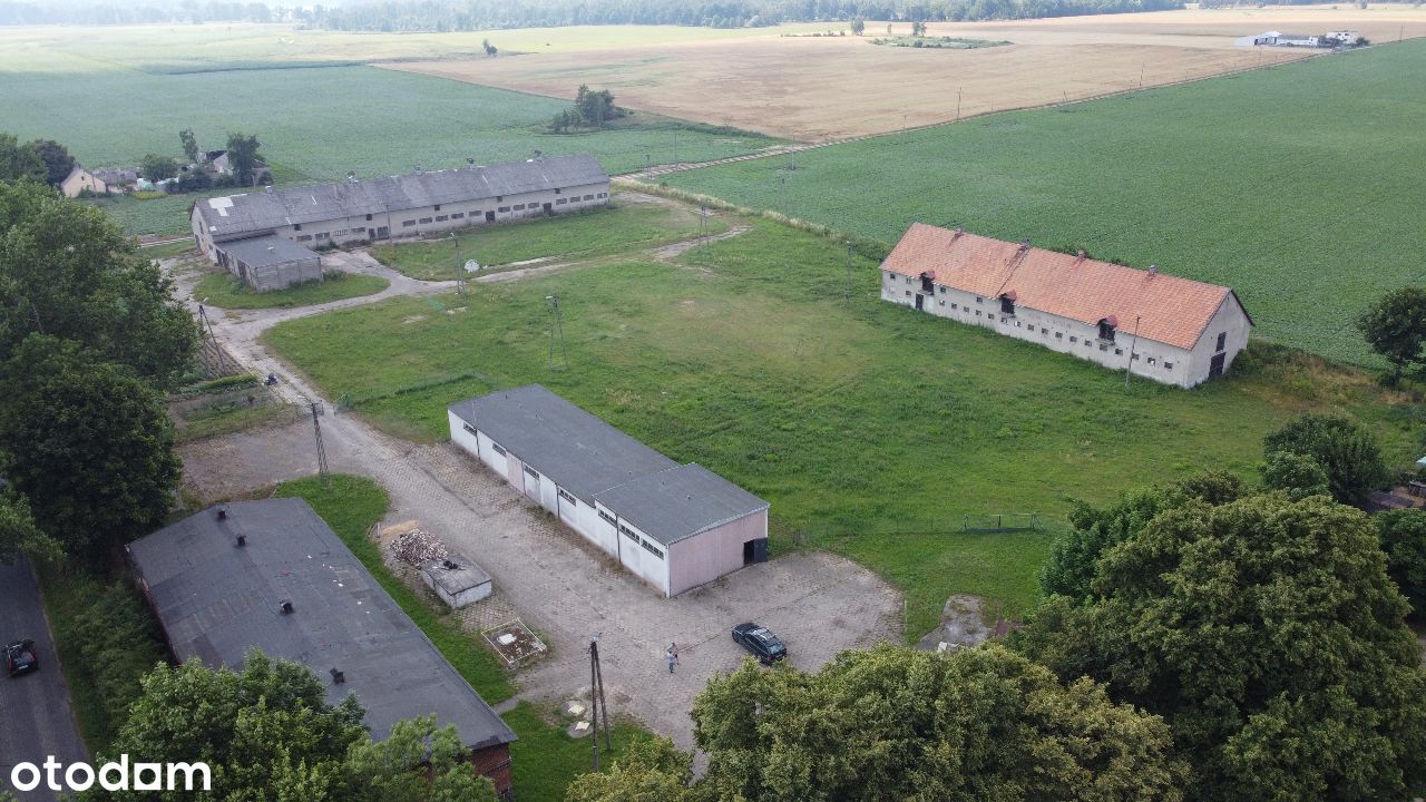 Orlinek/hale 4091m2 /działka 20584m2 /waga