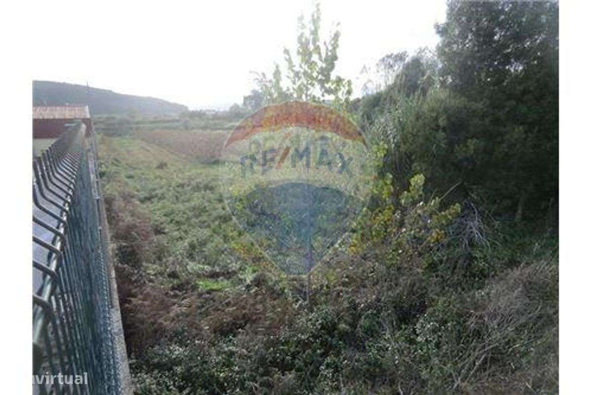 Terreno Urbano - Grande imagem: 3/14